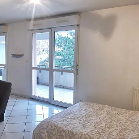 דירה Beau Studio, Terrasse Et Garage סן-אטיין